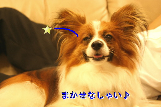 d0013149_0491277.jpg