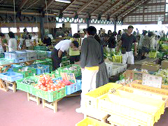 d0031853_2265671.jpg