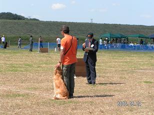 f0020153_5532179.jpg