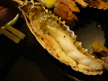 f0067354_17581713.jpg