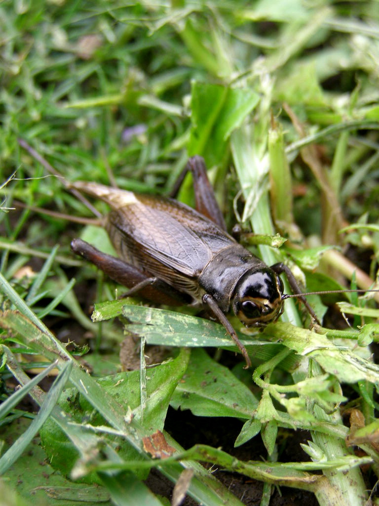 e0064158_14578.jpg