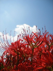 f0043559_17204440.jpg