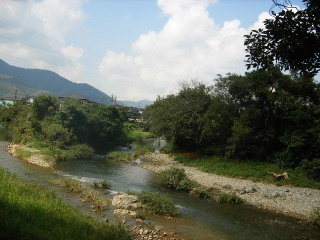 f0043559_172955.jpg