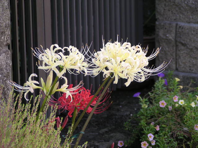 f0074659_23144841.jpg