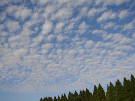 b0061261_21144456.jpg