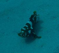 b0062363_134588.jpg