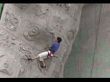 b0047265_1743460.gif