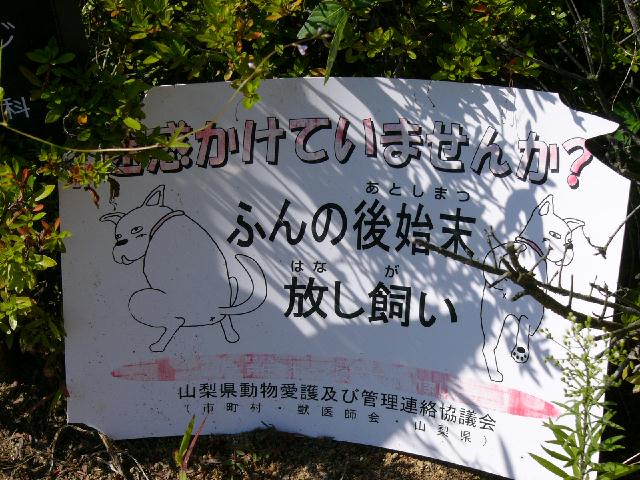 b0024266_0305059.jpg