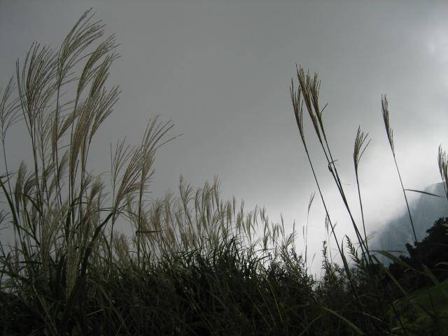 d0023066_02298.jpg