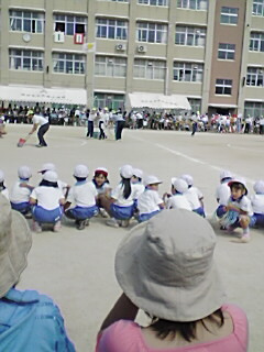 d0001070_11215172.jpg