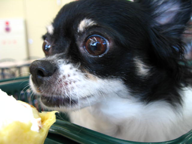 d0070473_13511476.jpg