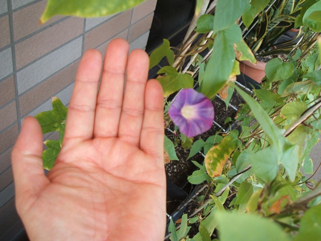 d0004574_2312652.jpg