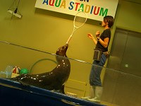 b0004675_20493422.jpg
