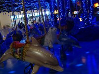 b0004675_20494330.jpg