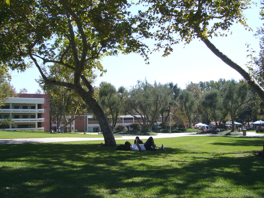 f0104079_1450153.jpg