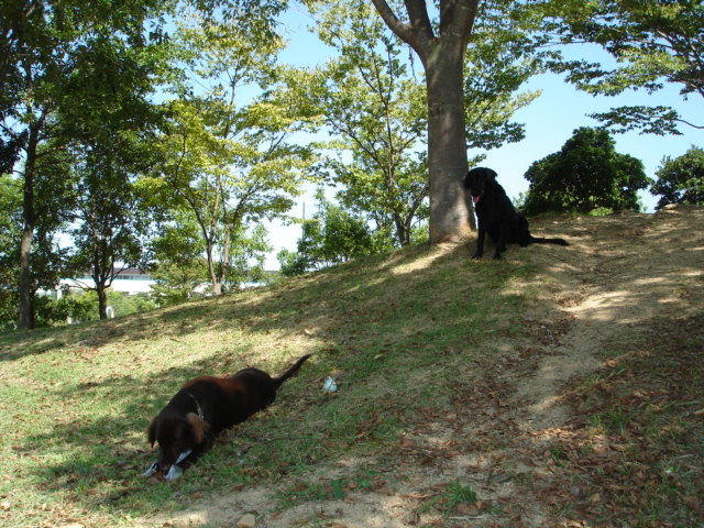 d0078080_12141678.jpg