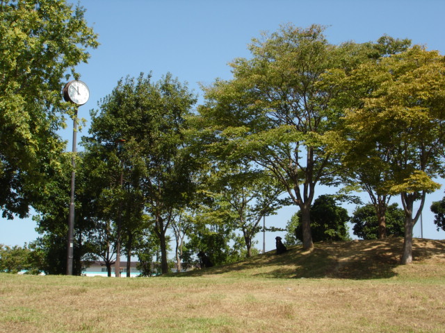 d0078080_12155771.jpg