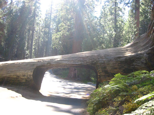 f0068883_15383197.jpg