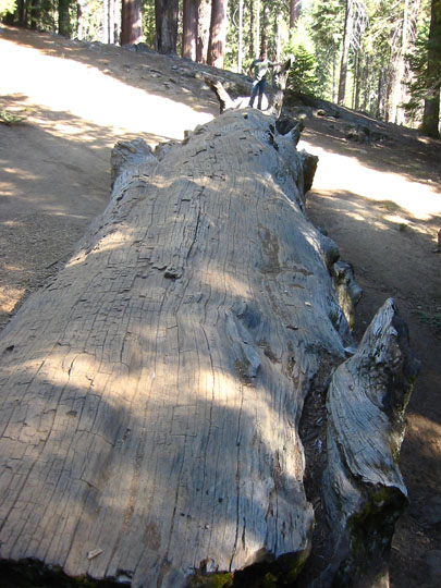 f0068883_15424979.jpg