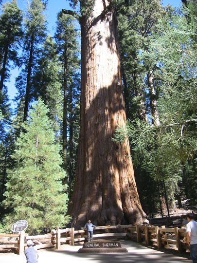 f0068883_154272.jpg