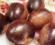 e0017290_21323520.jpg