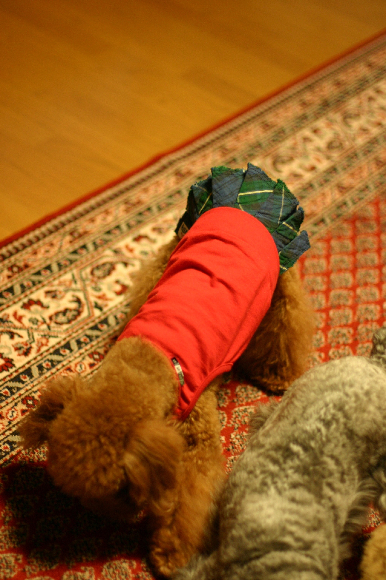 f0001895_1836475.jpg
