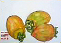 f0008597_17161183.jpg