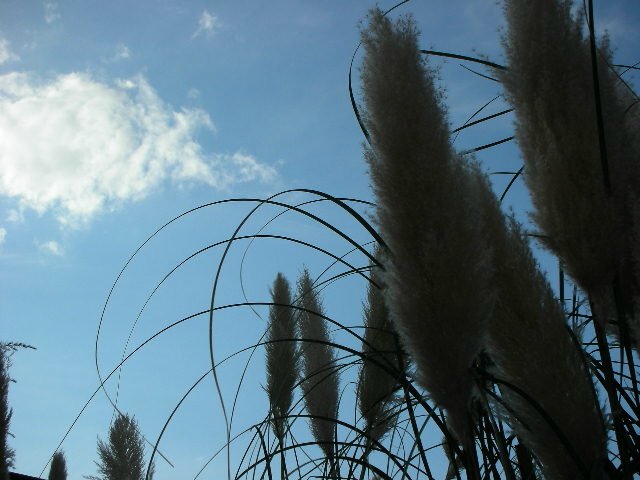 f0083400_12523369.jpg