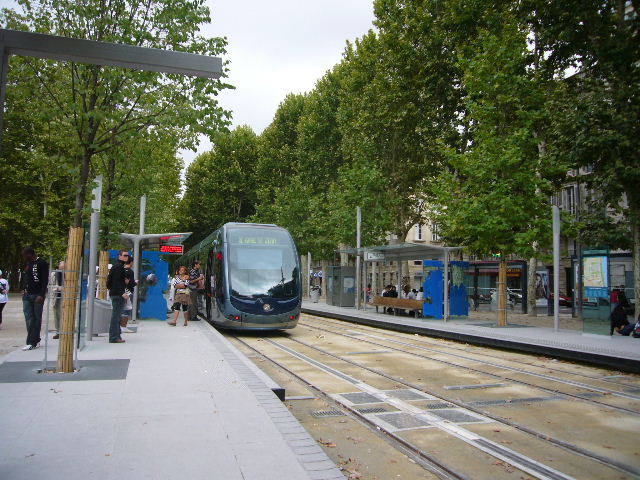 a0008105_1785250.jpg