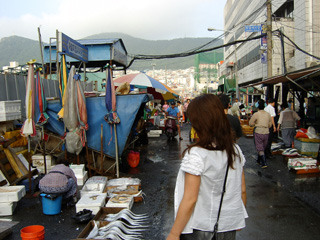 c0067106_11336.jpg