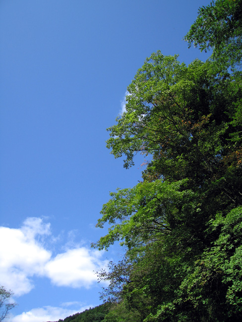 e0041606_22174191.jpg