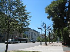 f0017719_8355041.jpg