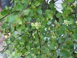 f0054421_23461044.jpg