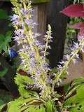 f0054421_23465110.jpg