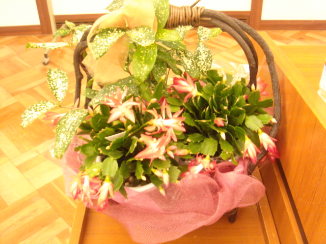f0052933_57451.jpg