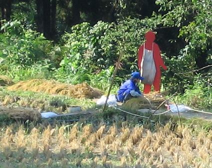 c0000134_164583.jpg