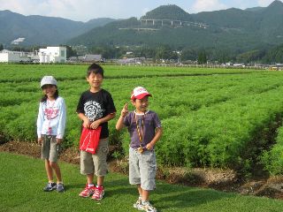 a0073838_21442873.jpg