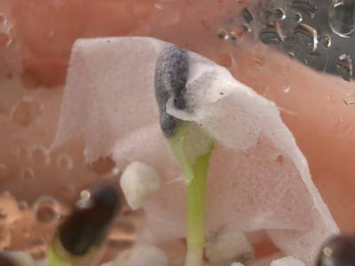 c0025140_21571595.jpg