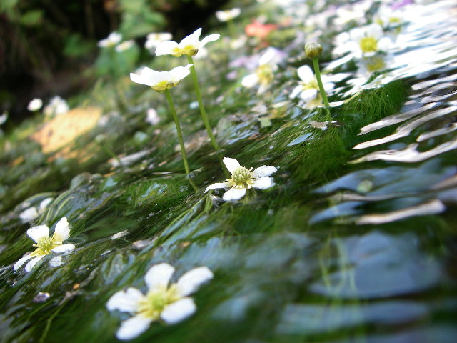f0053342_1992167.jpg