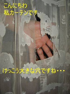 e0085147_23124013.jpg