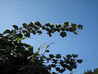 a0054948_19183528.jpg
