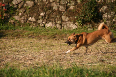 a0054948_20114215.jpg
