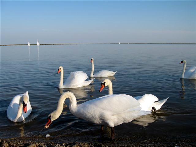 a0073357_1934523.jpg