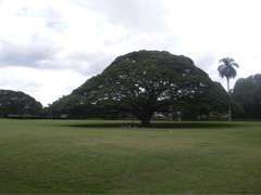 a0048361_16181243.jpg