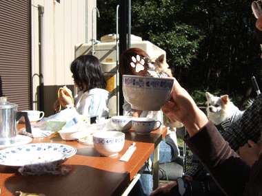 c0012571_1212079.gif