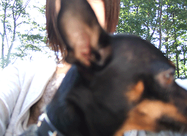 c0012571_12125181.gif