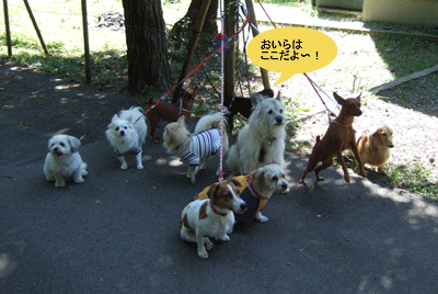 c0012571_12134938.gif