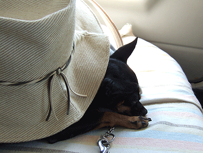 c0012571_1214655.gif