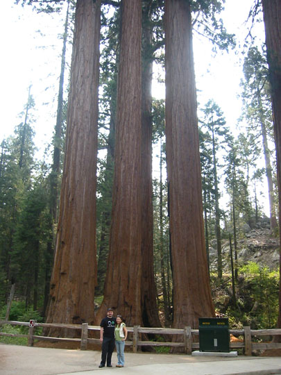 f0068883_15391286.jpg