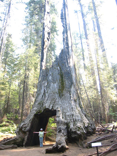 f0068883_170490.jpg